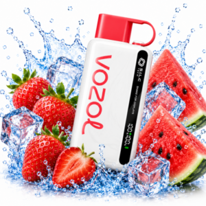 VOZOL STAR – Strawberry Watermelon 9000 Puffs
